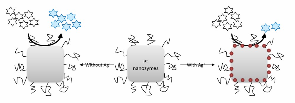 Schematic illustration of the principle of Pt nanozyme assay for colorimetric detection of Ag+.
